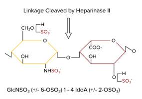 肝素酶II